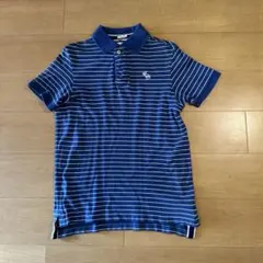 Abercrombie & Fitch 青白ストライプ ポロシャツ S