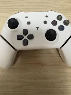 Nintendo Switch用 コントローラー NS011 ホワイト