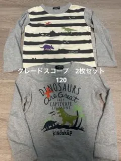 長袖カットソー 2枚セット　120