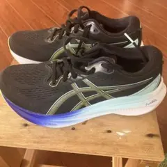 Item thumbnail for item 867e6c4d-fb0d-4655-b148-cdc7bbffbd61