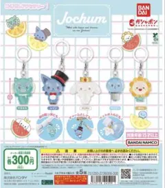 Jochumめじるしアクセサリー1