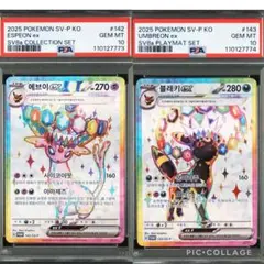 [未開封] ブラッキー プロモ3枚セット 美品 未開封 韓国限定　45 2025年最新】ブラッキー プロモ 韓国の人気アイテム - メルカリ
