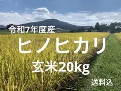 期間限定‼️令和7年度　ヒノヒカリ　玄米20kg(送料込)のサムネイル