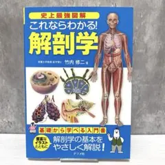 Item thumbnail for item f662202b-f45a-4159-9f28-fdd35b4d2148