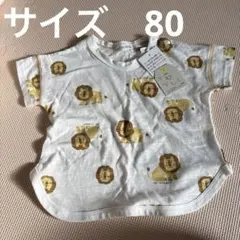 Item thumbnail for item 14e86ac5-9c55-422e-ae6e-f57356eeba0e