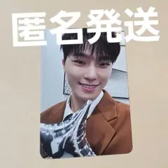 SEVENTEEN carat盤 トレカ ディノ