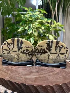 2026年最新】鑑賞 石の人気アイテム - メルカリ