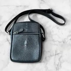 バッグ メンズ ショルダーバッグ 本革 レザー エイ革 スティングレー ブラック