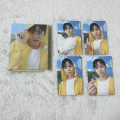 CARATver バーノン　コンプリート