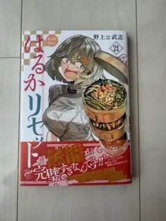はるかリセット 21