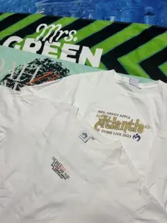 Item thumbnail for item d174c20a-a342-4ea4-9476-9087e8742f14