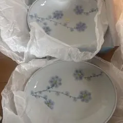 鍋島三省堂　老舗窯元 華山窯 有田焼 華山窯 早風花パスタ皿2枚セット　カレー皿のサムネイル