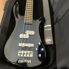 Warwick custom masterbuildのサムネイル