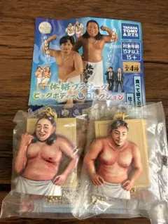体格ブラザーズ　ビッグボディーコレクション　平子さん&秋山さん額装キーホルダー