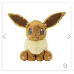 ポケモンセンターオリジナル ふわふわ抱きぬいぐるみ ブースター