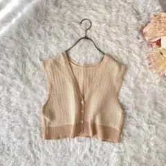 LOWRYSFARM クロップドニットベスト（F）レイヤードコーデ