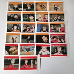 劇場版 ハイキュー ゴミ捨て場の決戦 ぱしゃこれ vol.2　22種