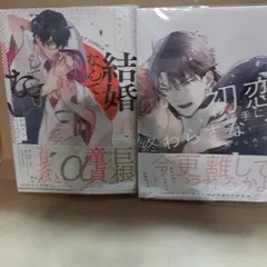 商業 BL 2冊で 780円までのセットでしたら3組購入で1000円