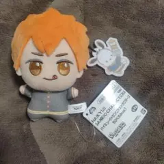 ハイキュー ちびぐるみ キャラクターグッズ