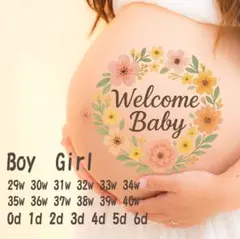 マタニティシール