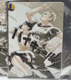 ハイキュー‼︎ 木兎光太郎 赤葦京治 マグネットステッカー 1枚