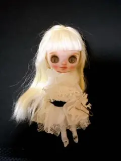 カスタムプチブライス お人形遊び