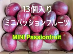 ミニ パッションフルーツ　13個入りのサムネイル