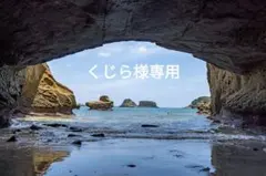 種子島安納いも Lサイズ Ｂ品 4㎏