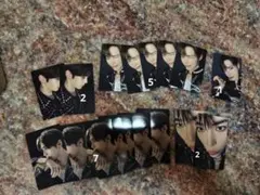 ゼベワン　ハンビン　封入　ラキドロ　トレカ　17枚 ICONIK