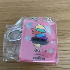 PEANUTS 75周年記念ドローンショー スヌーピー アクリルキーホルダー