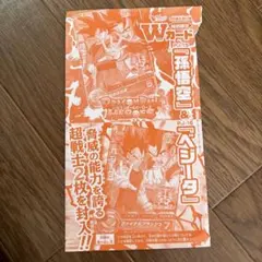 ドラゴンボールヒーローズ Wカード プロモ 孫悟空 ベジータ - メルカリ