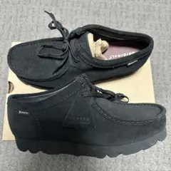 Item thumbnail for item ba18edf9-21f8-4302-bf57-121f1ec6ff53