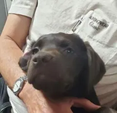 【たくまる様専用】バッグ確認用です