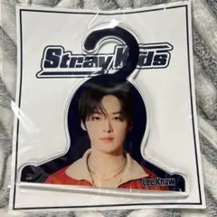 Stray Kids Lee Know ミニハンガークリップ