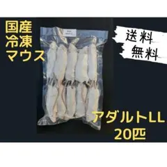 国産 冷凍マウスアダルト L 20匹 (送料無料一部地域発送不可) - メルカリ