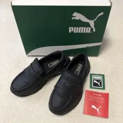 Item thumbnail for item 8829e0dd-ed6c-4142-821e-e47cb665f51c