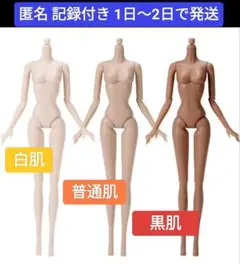 1/6スケール可動式人形 スーパーモデル 素体 ドール 白肌 30cm 長爪