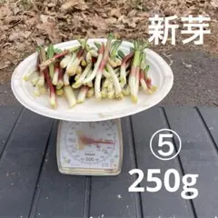 ⑤ 4/4 行者ニンニク 新芽250gのサムネイル