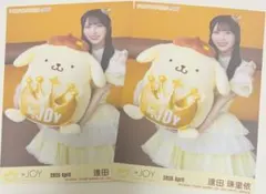 ≒JOY逢田珠里依 ミニフォト - メルカリ