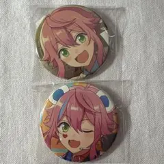 あんスタ　コレクション缶バッジ　姫宮桃李　2点セット