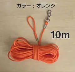 Item thumbnail for item 22f625e1-53f1-4a6a-bbca-102e3f04fc58