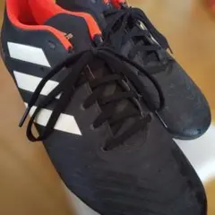 Item thumbnail for item 2d304772-d04e-4b9e-a87f-56d94f6ce02f