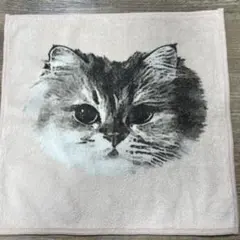 ポール&ジョー　タオルハンカチ