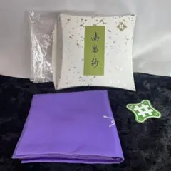 Item thumbnail for item 5d91a61d-2999-4e89-bb74-b830b535751c