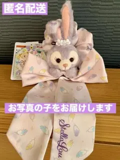 新品タグ付き　ステラルー　シュシュ　ウィッシングウィングス　ディズニー　③