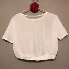 【未使用】エモダ EMODA トップス Tシャツ カットソー　シアー　シースルーのサムネイル