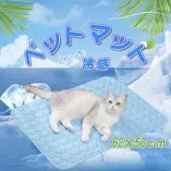 Item thumbnail for item 9c954c99-d35b-4049-bb04-3b35ca0fe3bc