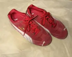 puma スピードキャット