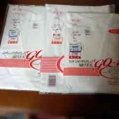 ①グンゼ Vネック半袖下着　 Lサイズ　　3枚