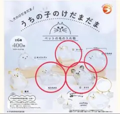 うちの子のけだまだま　プードル　チワワ　丸たれみみ　三角たれみみ　4点セット